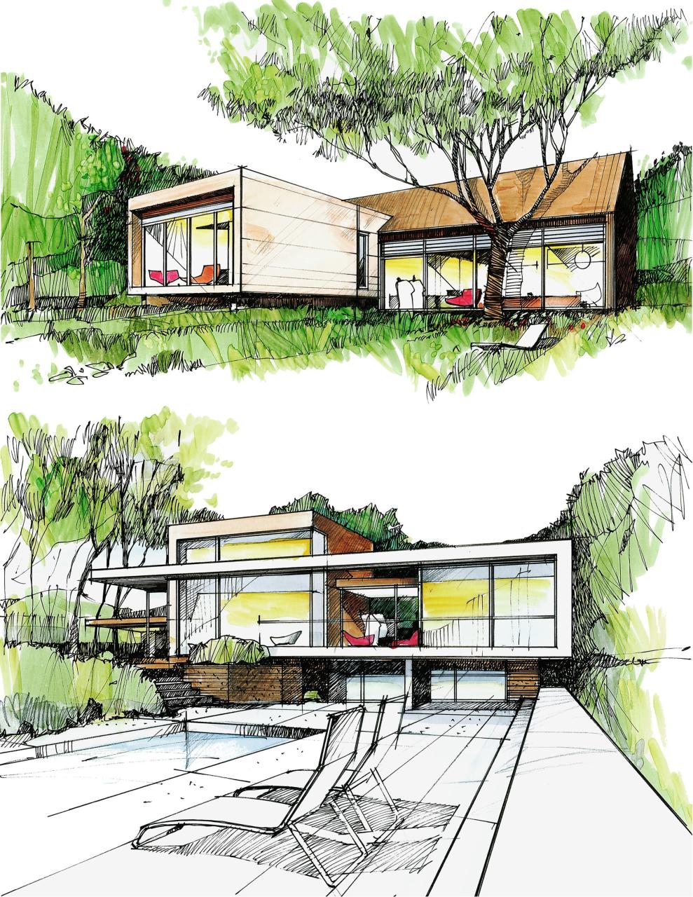 Modern House Architecture: Embracing Sustainability and Innovation